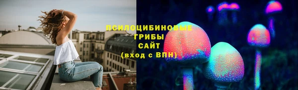 тгк Кулебаки